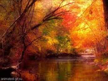 Открытки с осенним лесом Открытки с осенним лесом скачать. Открытки с осенним лесом бесплатно.