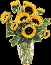 Открытки с подсолнухами Открытки с подсолнухами скачать бесплатно. Открытки с подсолнухами gif.