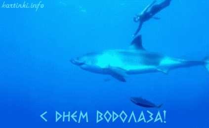 Открытки с днём водолаза Открытки с днём водолаза скачать. Открытки с днём водолаза бесплатно.
