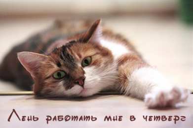 Открытки на четверг Открытки на четверг скачать. Открытки на четверг бесплатно онлайн.