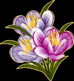 Открытки с крокусами  Открытки с крокусами скачать бесплатно. Открытки с крокусами онлайн.