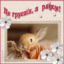 Открытки я рядом  Открытки я рядом скачать бесплатно. Красивые открытки я рядом.