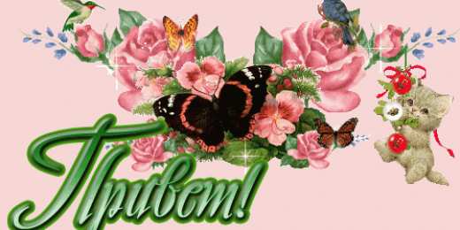 Открытки с приветствием   Скачать  красивые  Открытки с  приветствием  бесплатно gif.