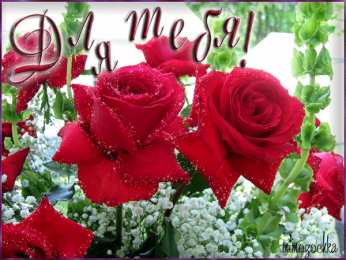 Открытки для тебя Красивые Открытки для тебя скачать  бесплатно. Открытки для тебя gif.