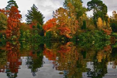 Открытки с осенним лесом Открытки с осенним лесом скачать. Открытки с осенним лесом бесплатно.