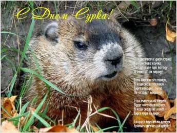 Открытки с днём сурка Скачать бесплатно открытки с днём сурка. Открытки с днём сурка Gif.