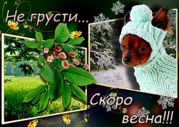 Открытки не грусти Открытки не грусти с пожеланиями скачать. Бесплатные Открытки не грусти.