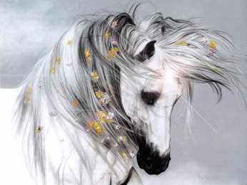 Открытки с лошадьми Открытки с лошадьми gif. Скачать бесплатно открытки с лошадьми.