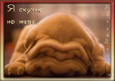 Открытки скучаю по тебе  Открытки скучаю по тебе с признанием скачать бесплатно gif.