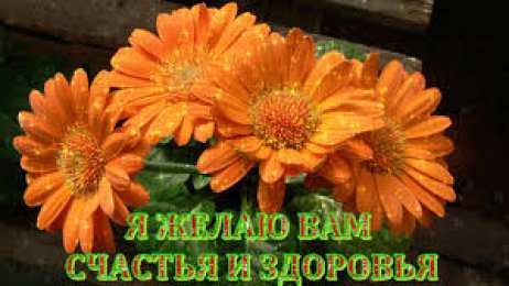 Открытки с календулой  Открытки с календулой скачать бесплатно. Открытки с календулой онлайн.