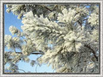 Открытки с инеем  Открытки с инеем скачать бесплатно. Открытки с инеем gif.     