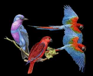 Открытки с попугаями  Открытки с попугаями скачать. Открытки с попугаями бесплатно.