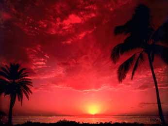 Открытки с закатом  Открытки с закатом скачать бесплатно. Открытки с закатом gif.