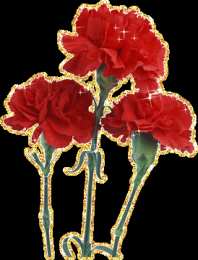 Открытки с гвоздиками  Открытки с гвоздиками скачать. Открытки с гвоздиками онлайн.