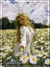 Открытки с цветочными полями  Открытки с цветочными полями с анимациями. Красивые открытки с цветами.