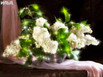 Открытки с белой сиренью  Открытки с белой сиренью анимационные. Открытки с белой сиренью gif.