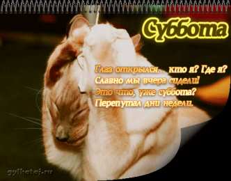 Открытки с субботой Открытки с субботой с пожеланиями. Скачать открытки с субботой.