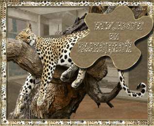 Открытки с леопардом Открытки с леопардом скачать. Открытки с леопардом бесплатно.