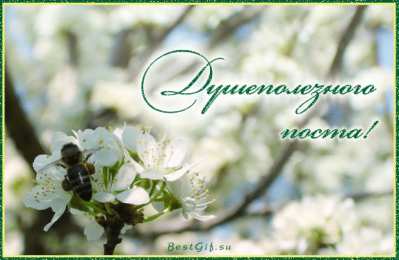 Открытки с началом Великого Поста Открытки с началом Великого Поста скачать бесплатно с анимациями.