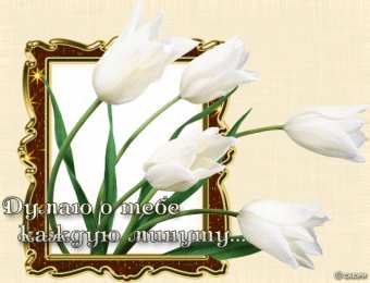 Открытки думаю о тебе Скачать Открытки думаю о тебе бесплатно. Открытки думаю о тебе gif.