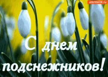 Открытки с днём подснежника Открытки с днём подснежника gif. Открытки с днём подснежника скачать.
