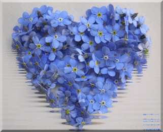 Открытки с незабудками  Открытки с незабудками бесплатно. Открытки с незабудками анимационные.