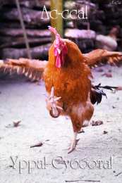 Открытки с субботой Открытки с субботой с пожеланиями. Скачать открытки с субботой.