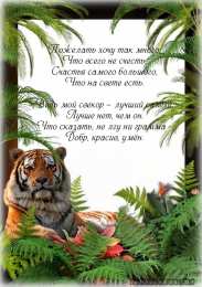 Открытки с днём рождения свекру Открытки с днём рождения свекру от невестки скачать бесплатно.