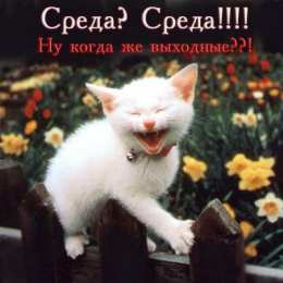 Открытки на среду Открытки на среду скачать. Открытки на среду с пожеланиями бесплатно.