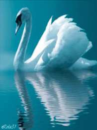 Открытки с лебедями  Открытки с лебедями скачать. Открытки с лебедями бесплатно. 