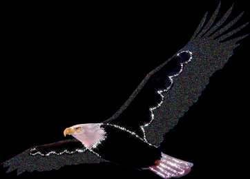 Открытки с орлом Открытки с орлом скачать бесплатно. Открытки с орлом онлайн.