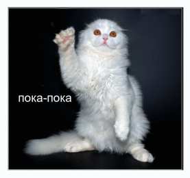 Открытки с прощанием Открытки с прощанием с текстом пока пока