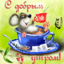 Открытки с добрым утром Открытки поздравления с добрым утром 