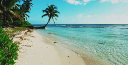 Открытки с пляжем Открытки с пляжем скачать бесплатно. Открытки с пляжем онлайн.