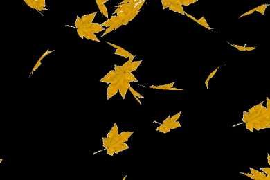 Открытки с листопадом Открытки с листопадом скачать. Открытки с листопадом бесплатно.