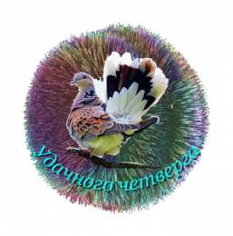 Открытки на четверг Открытки на четверг скачать. Открытки на четверг бесплатно онлайн.