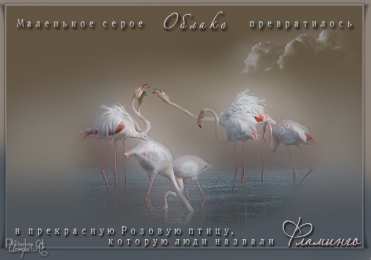Открытки с фламинго Открытки с фламинго с анимациями. Открытки с фламинго скачать.