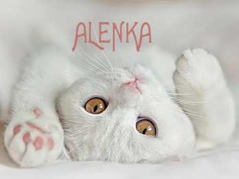 Открытки с именем Алёна Открытки с именем Алёна скачать бесплатно. Открытки с именем Алёна gif.