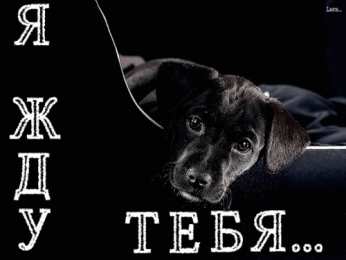  Открытки я жду тебя.