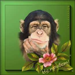  Открытки с обезьянами.