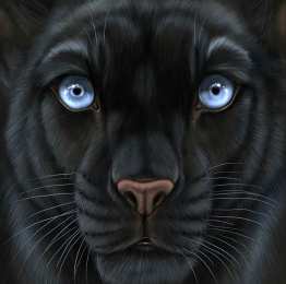  Открытки с пантерой.