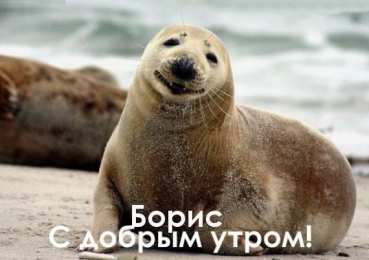  Открытки с именем Борис.