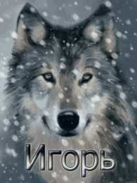  Открытки с именем Игорь.