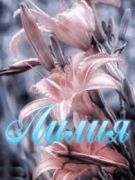  Открытки с именем Лилия.