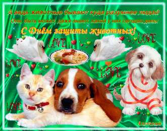  Открытки с днём защиты животных.