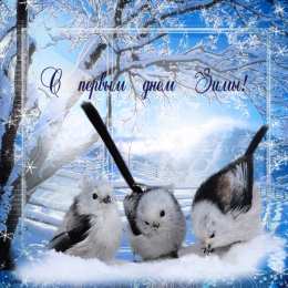 Открытки с первым днём зимы.