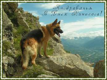  Открытки с днём кинолога.