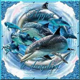  Открытки с дельфинами.