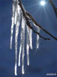  Открытки с сосульками.