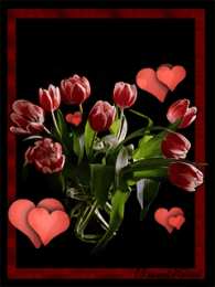 Открытки с красными тюльпанами.